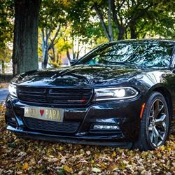 Dodge do Ślubu., Florynka godziny otwarcia
