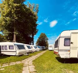 M.D Camp, Końskie godziny otwarcia