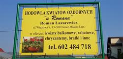 Hodowla kwiatów ozdobnych "u Romana", Nowe Miasto Lubawskie godziny otwarcia