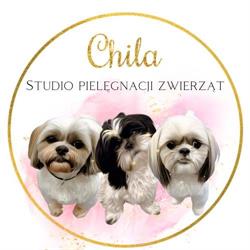 Chila Studio Pielęgnacji Zwierząt, Sączów godziny otwarcia