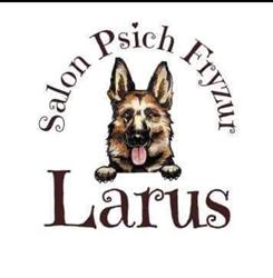 Larus salon psich fryzur, Sulejów godziny otwarcia