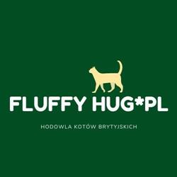 Hodowla kotów brytyjskich Fluffy Hug*PL, Wrocław godziny otwarcia