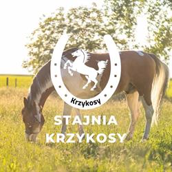 Stajnia Krzykosy, godziny otwarcia