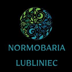 Komora Normobaryczna, Lubliniec godziny otwarcia
