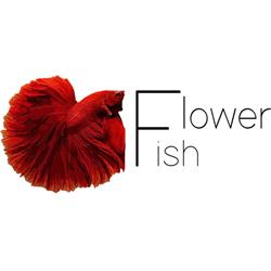 Flower Fish, Topolina godziny otwarcia