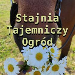 Stajnia Tajemniczy Ogród, Grzmiąca godziny otwarcia