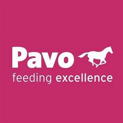 PAVO, Wrocław godziny otwarcia
