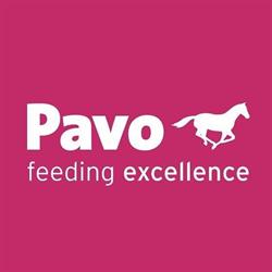 PAVO, Wrocław godziny otwarcia