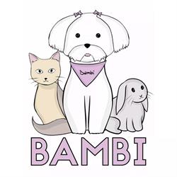 BAMBI Salon Pielęgnacji Psów i Kotów Anna Winkler, Bytom godziny otwarcia