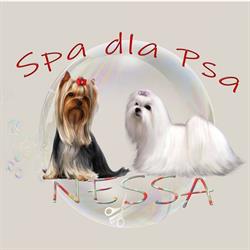 Spa dla psa NESSA, Lubichowo godziny otwarcia