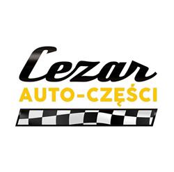 Cezar auto części, Gruszczyn godziny otwarcia