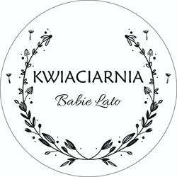 Kwiaciarnia Babie Lato Kutno, godziny otwarcia
