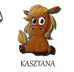 Kucykolandia Dawid Widawski, Marklowice godziny otwarcia