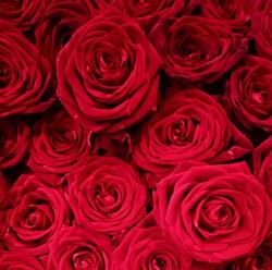 Kwiaciarnia Marta Art Florist, Sztum godziny otwarcia