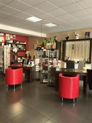 Eurooptical, Włocławek godziny otwarcia