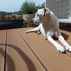 Sklep zoologiczny Na Pomorskiej, Łódź godziny otwarcia