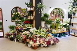 Kwiaciarnia Magnolia, Kołobrzeg godziny otwarcia