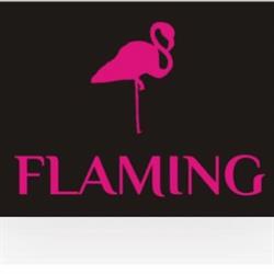 SKLEP FLAMING JUSTYNA CYGLICKA, Gdynia godziny otwarcia