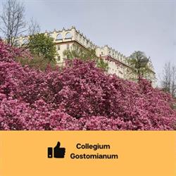 I LO Collegium Gostomianum, Sandomierz godziny otwarcia