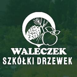 Drzewka Waleczek, Chybie godziny otwarcia