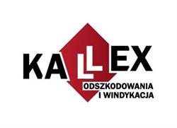 Odszkodowania Kancelaria Radcy Prawnego KaLLEX Mateusz Kall - Prawnik Opole, godziny otwarcia