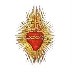 NSPJ Lubsko, godziny otwarcia