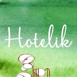 Hotelik Szmytka Gołubie pokoje do wynajęcia, godziny otwarcia