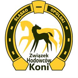 Śląsko-Opolski Związek Hodowców Koni, Katowice godziny otwarcia