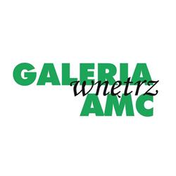 Galeria Wnętrz AMC - meble, oświetlenie i dodatki do wnętrz, Toruń godziny otwarcia