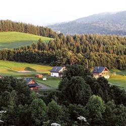 Żubrowe Wzgórze Stężnica, Baligród godziny otwarcia