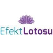 Efekt Lotosu, Warszawa godziny otwarcia