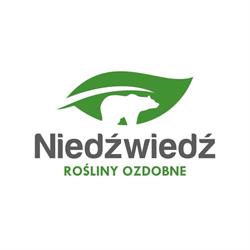 Niedźwiedź Rośliny Ozdobne, Poznań godziny otwarcia