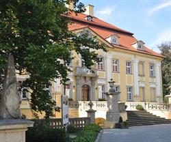 Dolnośląski Zespół Szkół w Biedrzychowicach, Olszyna godziny otwarcia