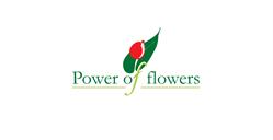 Hurtownia Kwiatów Power Of Flowers, Gdańsk godziny otwarcia