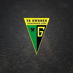 TS Gwarek Tarnowskie Góry, godziny otwarcia