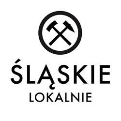 Śląskie Lokalnie - małe granty FIO, Gliwice godziny otwarcia