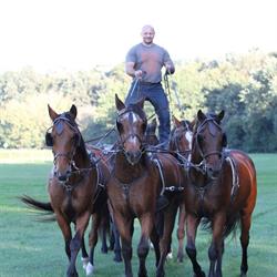 Horses Academy, Grębków godziny otwarcia