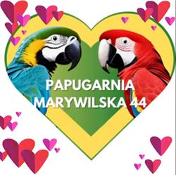 Papugarnia Marywilska 44 Warszawa, godziny otwarcia