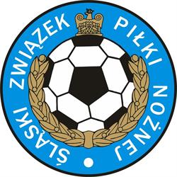 Śląski Związek Piłki Nożnej, Katowice godziny otwarcia