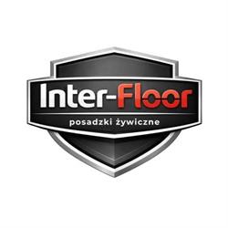 Posadzki żywiczne Inter-Floor, Ścinawa godziny otwarcia
