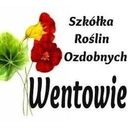 Szkółka Roślin Ozdobnych Wentowie, Kościerzyna godziny otwarcia