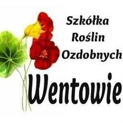 Szkółka Roślin Ozdobnych Wentowie, Kościerzyna godziny otwarcia