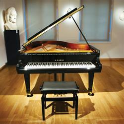 Chopin Concerts Warsaw, Warszawa - godziny otwarcia