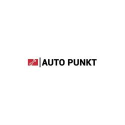 Auto-Punkt Zbigniew Ziółkowski, Swędzieniejewice godziny otwarcia