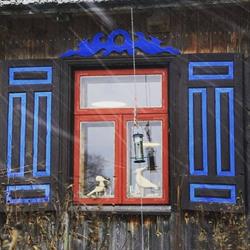 Buda Ruska 16. Agroturystyka i nie tylko, Krasnopol godziny otwarcia
