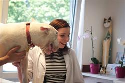 Kardiologia weterynaryjna, Łódź godziny otwarcia