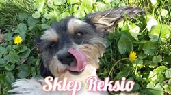 "Reksio" Sklep Zoologiczny, Brzeg godziny otwarcia