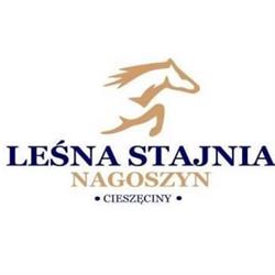 Leśna Stajnia, Nagoszyn godziny otwarcia