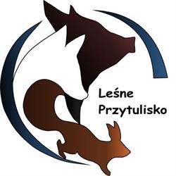 Stowarzyszenie Leśne Przytulisko, Skrzynice Drugie godziny otwarcia