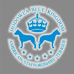 Blue Kingdom Hodowla American Staffordshire Terrier Amstaff Blue, Bydgoszcz godziny otwarcia